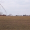 Love Canal