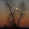 Look the Moon
