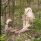 Old lime kiln ruins @ Woodend Conservation Area