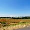 Virginia countryside
