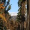 Highland, California. Easterly view  on Base Line of the snow capped mountains