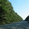 Northway canyon of trees