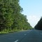 Tree canyon continues