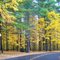 FALL PREVIEW