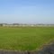 NAS Whiting Field