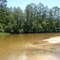 Coldwater River near Milton/Fl