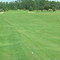 Whiting, hole 4