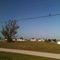 A lonely tree