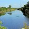 Canal