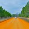 The Orange Dirt Road