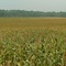 Labold Farm