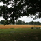 Mulkeytown, Illinois