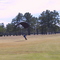 A Solft Landing