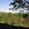 Water Gap from Jenny Jump Forest