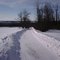 Road to Cayuga Lake after Valentines Day Storm