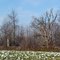 2011, Fort Shawnee, OH, USA - along I-75