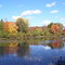 tinkers creek