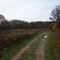 Meadow along the Buttonbrush Trail