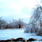Ice Storm