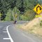 intersection of Tyee Road and Oregon Highway 138