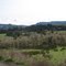 Pastures on the Umpqua
