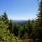 In the Coast Range..