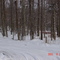 Potter County PA.