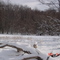 Winter in Potter County