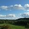 Wishkah Valley View-Summer