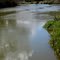 The muddy Banks of the Wishkah River