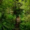 One of many footbridges on the Sherwood Forest Trail - 201304LJW