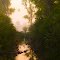 Morning Reflections