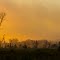 Foggy Light