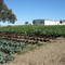 Fields At CRS