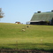Pastoral Geneseo scene