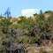 Griffith Park Water tank