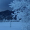 Winter in Rye, CO