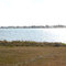 View at War Veterans Memorial Park, Bay Pines, Florida