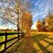 October In Southern Illinois......(1622394350)
