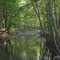 Lick Creek In Pope County......(1622394350)