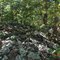 War Bluff Stone Wall