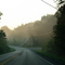 morning fog
