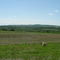 Rte 5 Upstate NY view