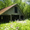 Wildflowers with Old Barn