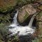East Fork Coquille River