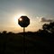 Texas Stop Sign