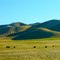 The Pacheco Pass, California