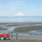 Clam digging