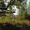 Sycamore Canyon Rd