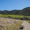 The eastern end of Serrano Valley